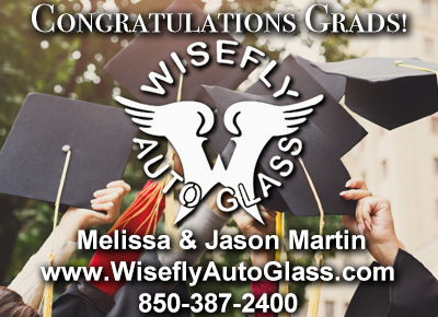 Wisefly Auto Glass